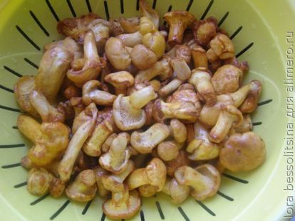 грибной суп-пюре, грибы в дуршлаге