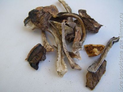 грибы сушеные