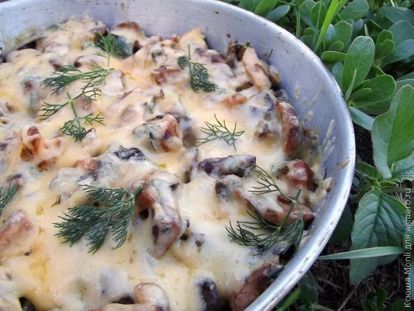 Блюда из лесных грибов - пошаговые рецепты с фото