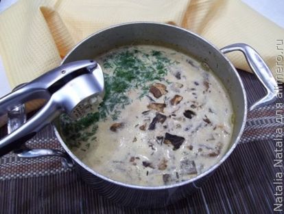 Крем-суп из лесных грибов со сливками