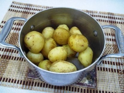 Какой Картофель Для Жарки Какой Для Варки