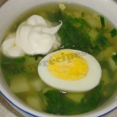 Весенний зеленый суп из крапивы