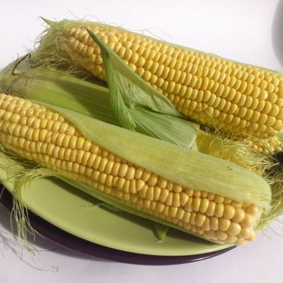 Консервированная кукуруза в початках