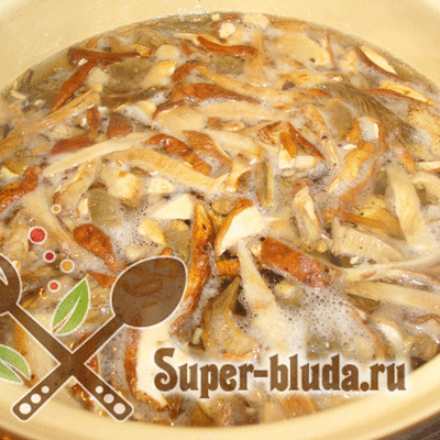 Суп из белых грибов рецепт с фото