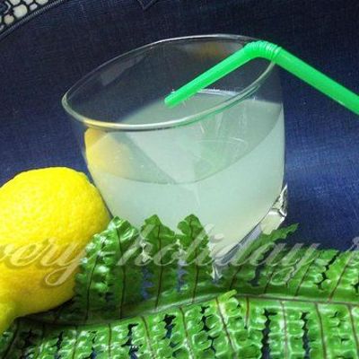 Лимонник от простуды