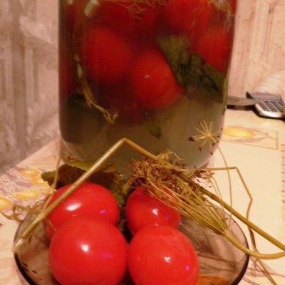 Засолка помидоров холодным способом