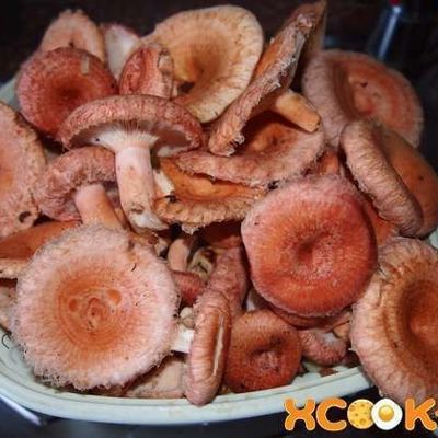 Засолка грибов волнушек горячим способом