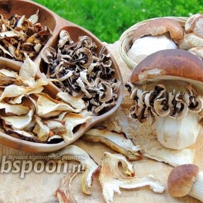 Белые грибы сушёные
