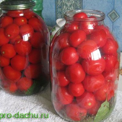 Консервированные помидоры без стерилизации