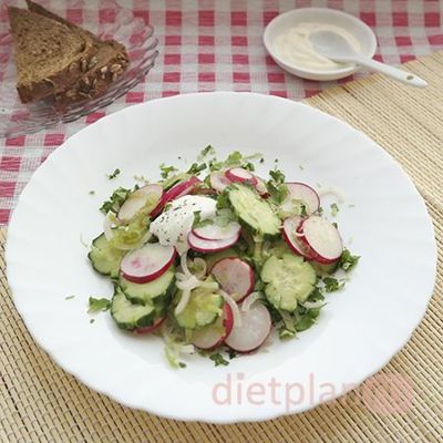 Салат из редиски с огурцом и зеленой редькой
