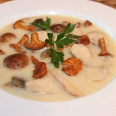 Грибной суп из свежих грибов
