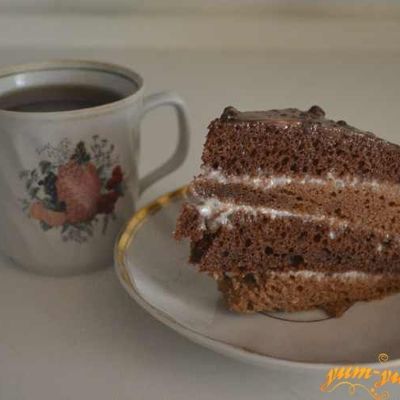 Бисквитный шоколадный торт с нежным сметанным кремом