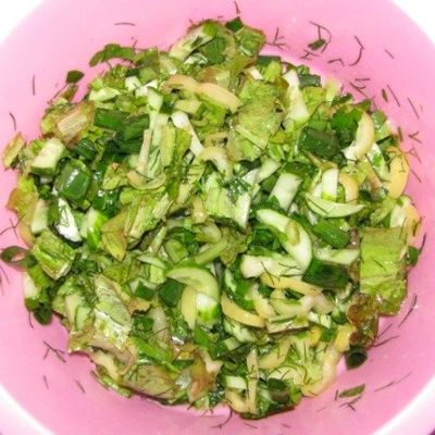 Зеленый салат из листьев салата