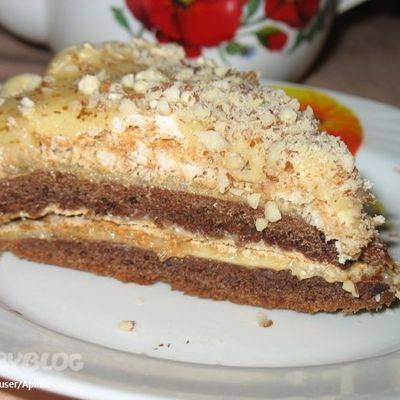 Шоколадно бисквитный торт с безе и орехами