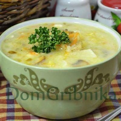 Сырный суп с плавленным сыром и грибами.