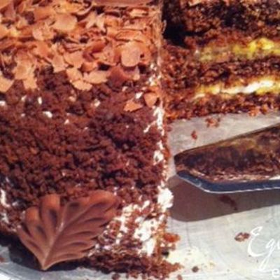 Шоколадный торт с маракуйей и безе