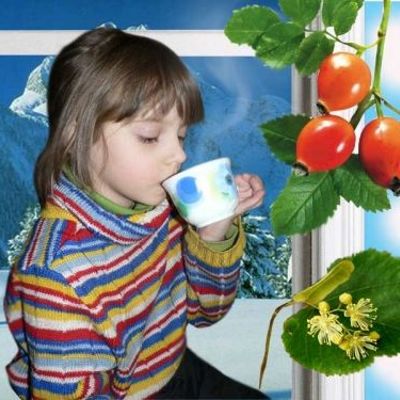 Какими травками нужно запастись на зиму: домашняя фитотерапия