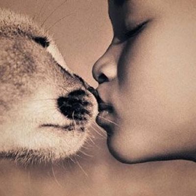 Трогающая красота. Грегори Кольбер