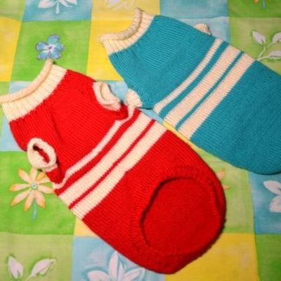 Жилетка с короткими рукавами для сфинкса