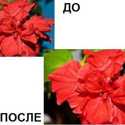 Базовая обработка фото в Photoshop. Часть 2