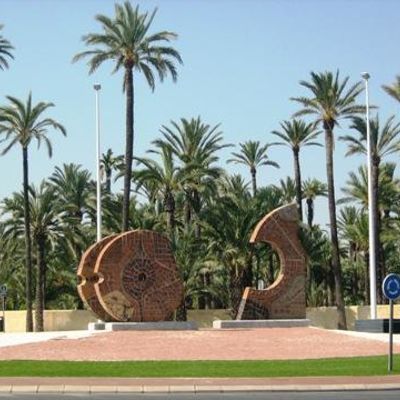 Эльче пальмовый город Испания