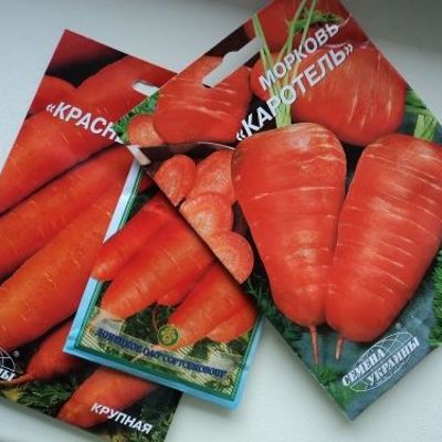 Эффективный способ вырастить морковку. Борьба за урожай