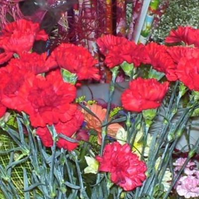 Что тебе подарить, дорогой?