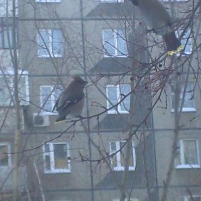 Нужен ли брачный договор?