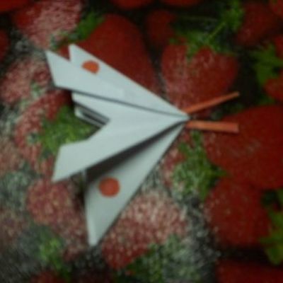 Поделки с ребёнком бабочка