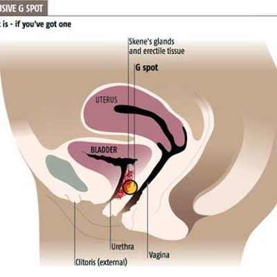 Точка G - секрет яркого оргазма