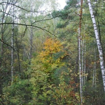 Как вывести человека на откровенный разговор