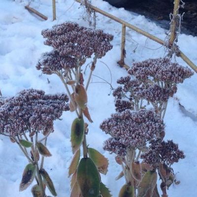 Можно ли быть красивой, если одеваться зимой по погоде?