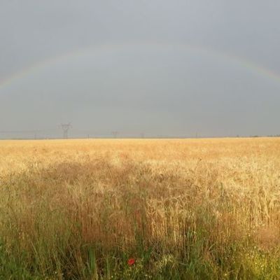 Как бороться с противоречивыми мыслями