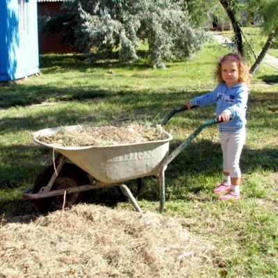 Помощница для папы