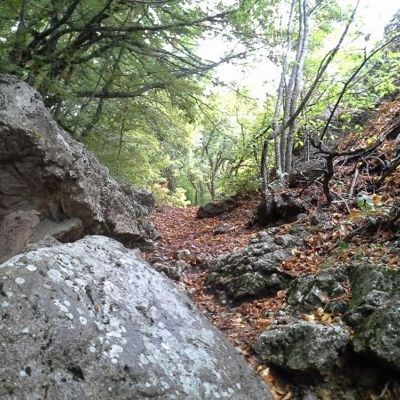 Как контролировать негативные эмоции