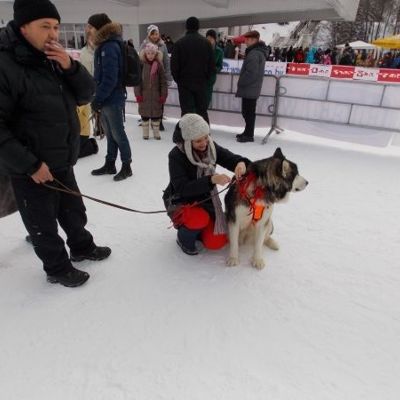 Какое домашнее животное завести ребенку