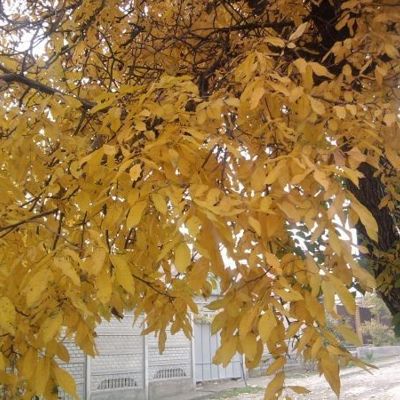 Мои способы ускорить обмен веществ