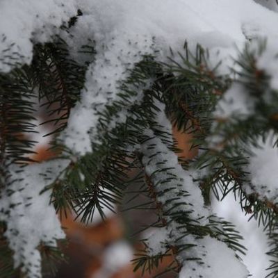 Как защитить свою семью от гриппа