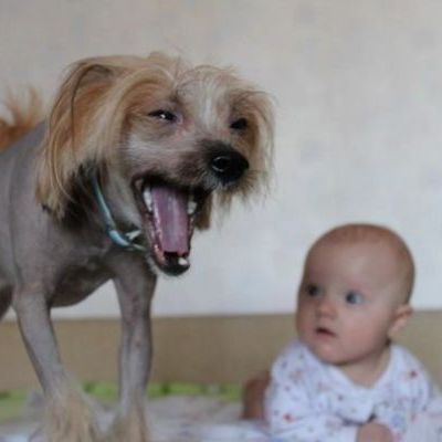 Нервные тики