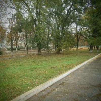 Говорим от сердца. Как успокоить человека словом