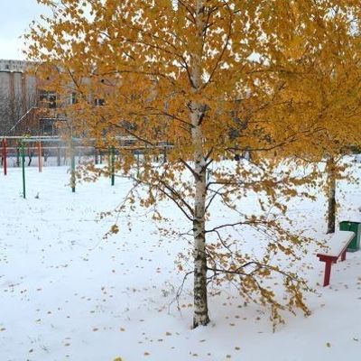 Похолодало. Гулять или не гулять?