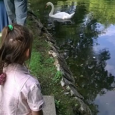 Если ребенку скучно в садике...