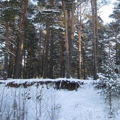 Почему мужчина остывает?