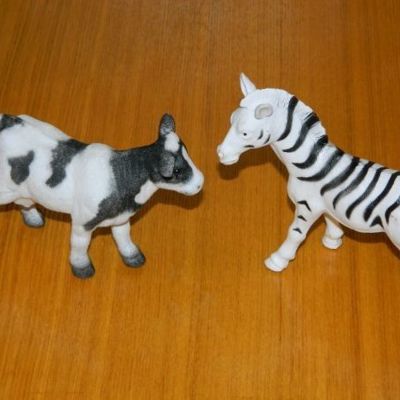 Как женщине следить за своей речью и нужно ли это?