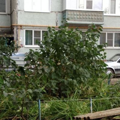 Муж против моей подруги. Что делать?