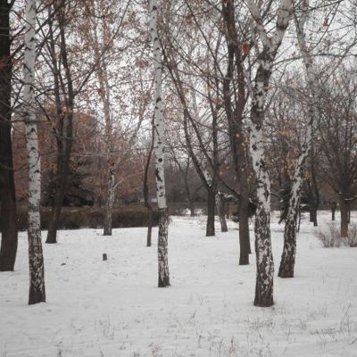 3 неприятных случая на прогулке