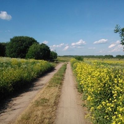 Как развлечь полуторагодовалого ребенка в дороге