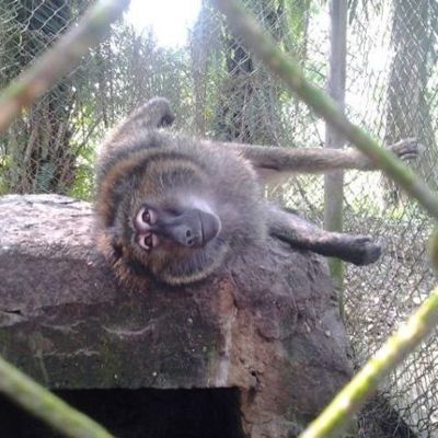 Мои любимые отмазки или Как корректно отказать мужчине
