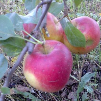 Особенности детского зимнего питания