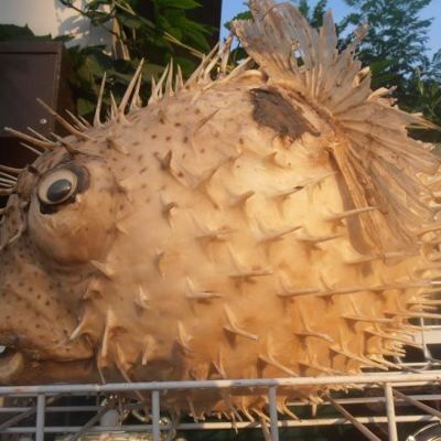 Встречают по одежке или странных не любят